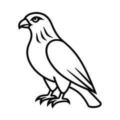 Red Tailed Hawk Line Art Vector
