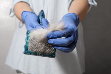 Closeup of shedding hair on brush