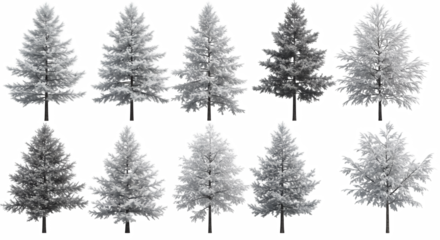Collection of Ten Snowy Pine Trees Isolated on Transparent Background for Winter Holiday Season