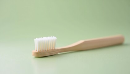 Bamboo Toothbrush

