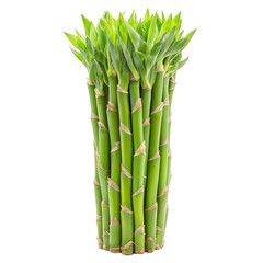 Fototapeta premium Bundle of fresh green bamboo stalks with vibrant leaves, symbolizing growth and nature, isolated on transparency background