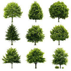 Collection of nine different green trees showcases various shapes and sizes, highlighting diversity of tree forms. Each tree is isolated transparency background, emphasizing its unique structure