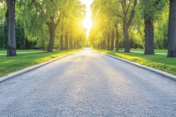 Fototapeta premium Sunny path lined with lush trees in a park. Sunlight streams through the leaves, illuminating the gravel path and creating a serene atmosphere. Green grass borders the path