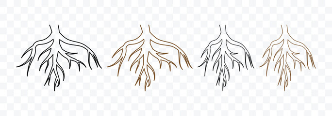 Tree roots vector icon collection. Tree root outline silhouette set. Plant root system. Vector Illustration.