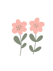 twin pink flowers