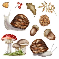 Watercolor autumn pattern featuring snails, mushrooms, and leaves for textile design