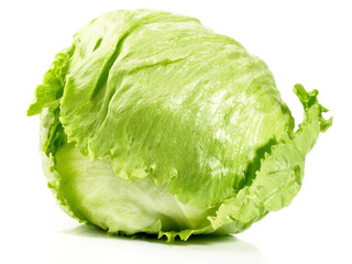 Fresh Iceberg Salad isolated on white Background