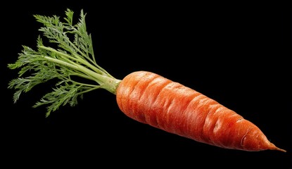 Fresh, vibrant carrot isolated on a sleek black background.