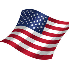 Obraz premium Saluting America: The Power of Freedom and Independence