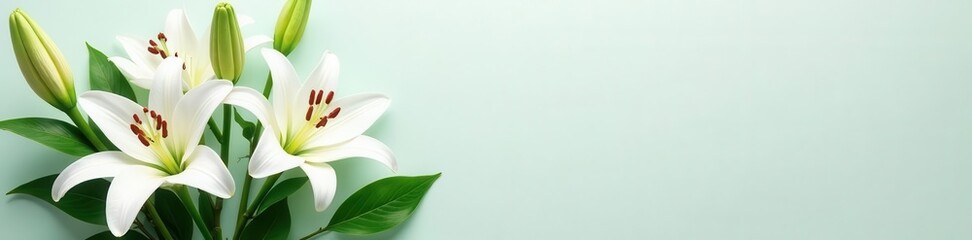Obraz premium Simple white lilies & greenery funeral arrangement, minimalist design , clean, white flowers, memorial