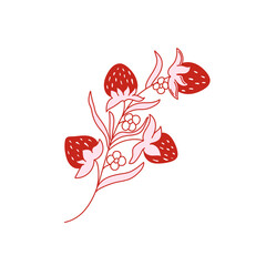 Coquette vintage strawberry branch with berries, blooming flowers and leaf. Red and pink strawberry on white background. Vector illustration for posters, cards, logo, printing on t-shirt etc.