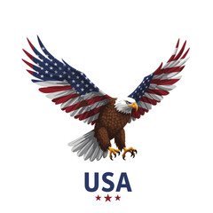 Obraz premium A Journey to Freedom: America's 4th of July