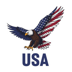 Fototapeta premium A Journey to Freedom: America's 4th of July