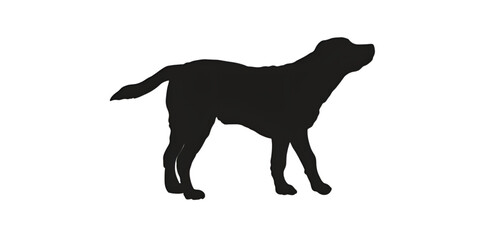 black silhouette of a dog