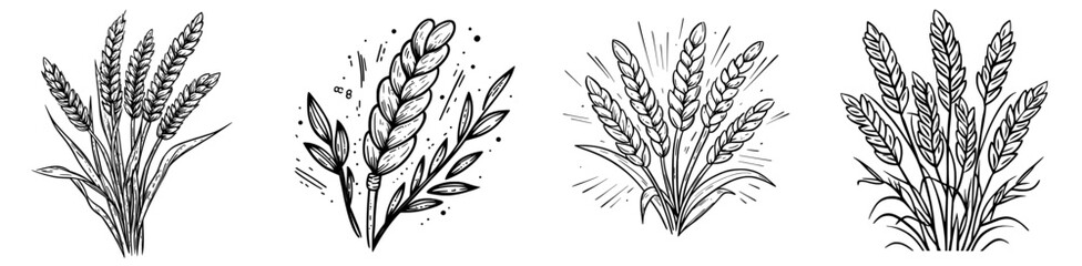 I typeset a letter element, an isolated autumn alphabet sign of ABC, Thanksgiving day ears of wheat, and a stick, in a modern font, a type of cereal grain