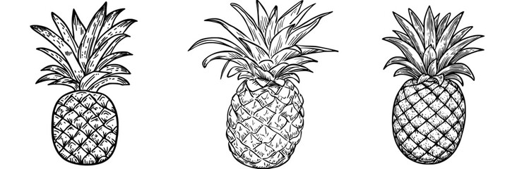 The image features a modern raw exotic pineapple with leaves, represented as an isolated color line icon of the tropical fruit ananas or pineapple, ideal for a summer juicy dessert or tropical food