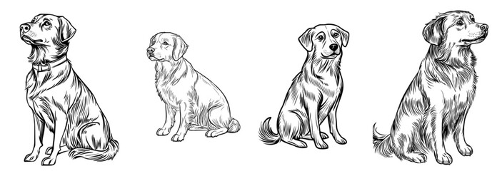 A canine is depicted in a simple artistic style as a black silhouette of a sitting dog