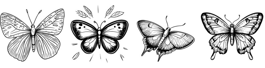 A decorative design featuring a black and white butterfly silhouette with intricate wing details