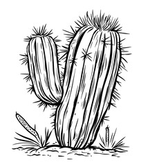 A black and white silhouette featuring a cactus with prominent spikes is a representation of desert flora