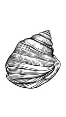 A spiral seashell's stylized black and white silhouette symbolizes coastal decor and the beauty of the marine environment