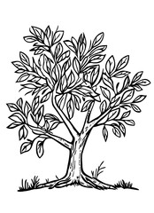 Obraz premium The stylized form of a tree with elaborate branches and leaves serves as a representation of nature and growth