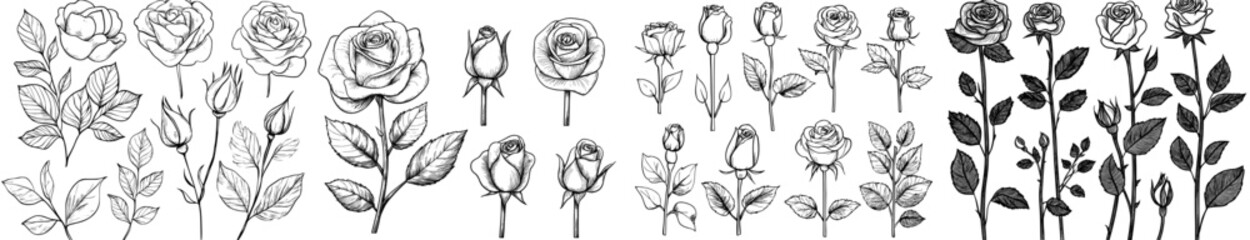 A compilation of dark shapes showcasing an assortment of roses and foliage for design purposes