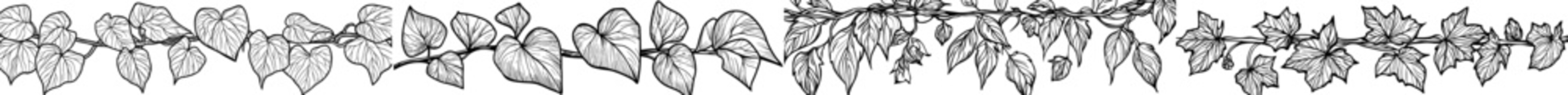 A decorative pattern featuring elegant leaves and vines in black silhouette is ideal for design projects