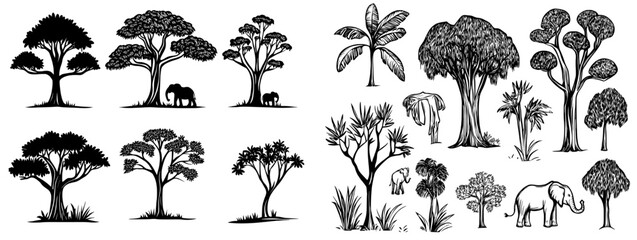 A gathering of silhouetted trees and plants in black, illustrating the diversity of nature's forms