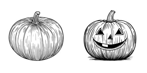 The modern orange pumpkin with its stem is a type of gourd often used in vegetarian food, similar to isolated squash, and is commonly associated with the fall harvest