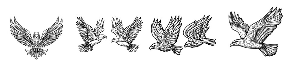 Flying hawk isolated bird silhouette. Modern eagle or falcon in flight, heraldry mascot symbol’ becomes ‘Modern eagle or falcon in flight, heraldry mascot symbol, flying hawk isolated bird silhouette