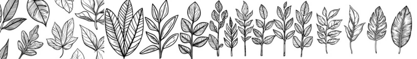 The collection features tropical leaves, including palm trees and maple leaves, in a linear style, along with abstract elements of a jungle and beach in a continuous line, representing exotic plants