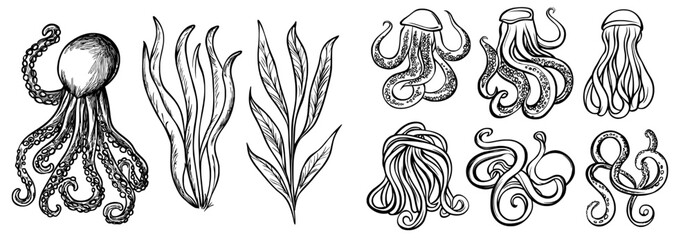 Kraken and octopus tentacles along with squid monsters are depicted in a tattoo, showcasing sea and ocean underwater creatures or marine animals with arms and limbs, isolated in monochrome modern
