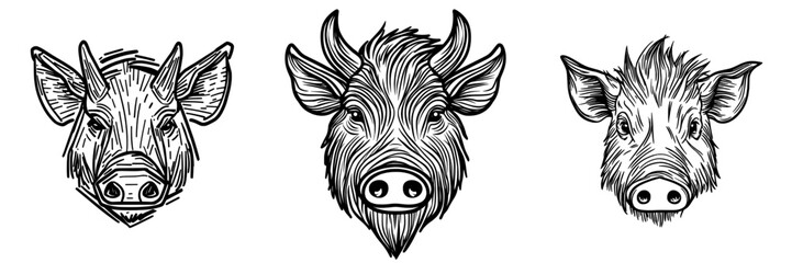 A modern wild pig or swine, warthog with sharp tusks, is depicted as a hog boar head isolated mascot