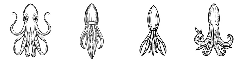A blue hooked squid with isolated tentacles is an underwater animal, a modern marine cephalopod creature equipped with suctions