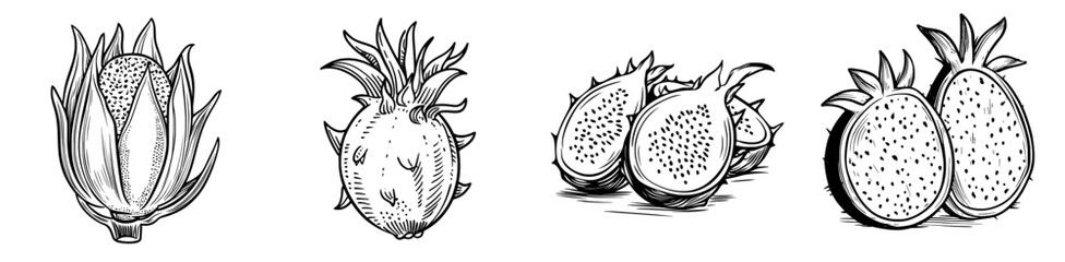 The dragon fruit pitaya is a tropical food often featured as a dessert line icon, showcasing its modern and ripe version, the pitahaya, as a juicy and exotic fruit