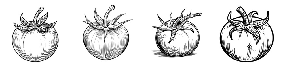 Modern dieting cherry-tomato and whole ripe round tomato are key ingredients in a vegetarian food salad, represented by a line icon of a tomato berry with leaf isolated as a vegetable