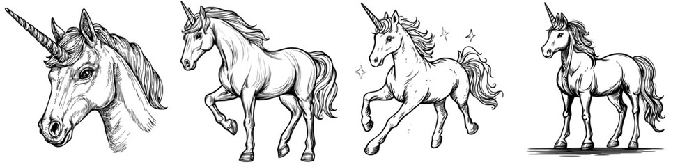 A sketch icon of a unicorn, a fairy tale animal in isolation, is depicted alongside the modern mythical pegasus, a horse with a horn, often used as a heraldry mascot, and a fantasy unicorn born from