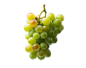 Obraz premium bunch of green grapes