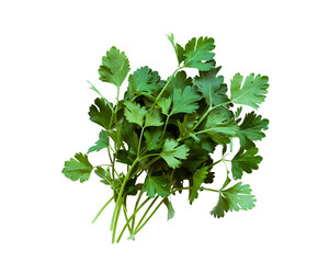 bunch of parsley