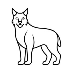 Eurasian Lynx Wild Cat Line Art Illustration