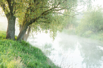 Beautiful landscape with the Raut River in the Republic of Moldova. rural nature in Eastern Europe.