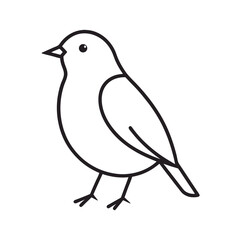 European Robin Bird Outline Line Art Vector
