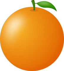 Orange Illustration

