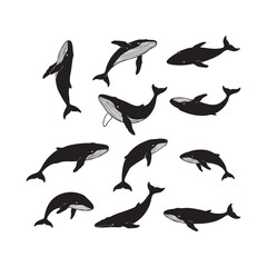 Fototapeta premium Silhouette Collection of Jumping Whales