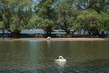 View of the Rhine with small islands during a hike through the Ingelheimer Aue