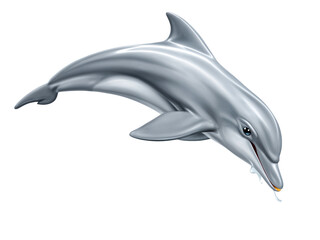 Marine animal dolphin jump illustration isolated on white