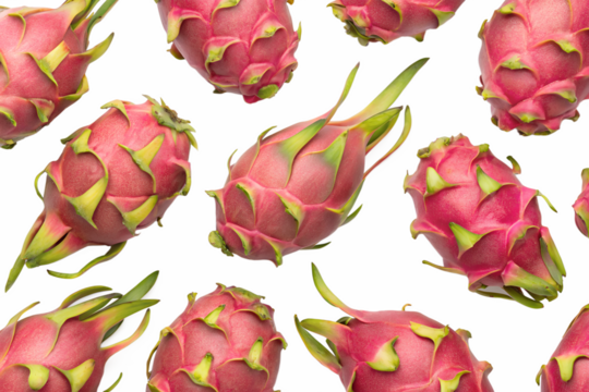 seamless pattern with dragon fruit