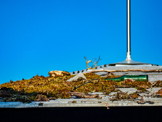 Verschmutztes Metalldach