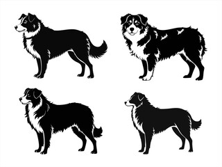 australian shepherd sihouette black vector bundle