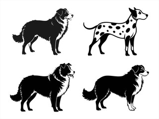 australian shepherd sihouette black vector bundle